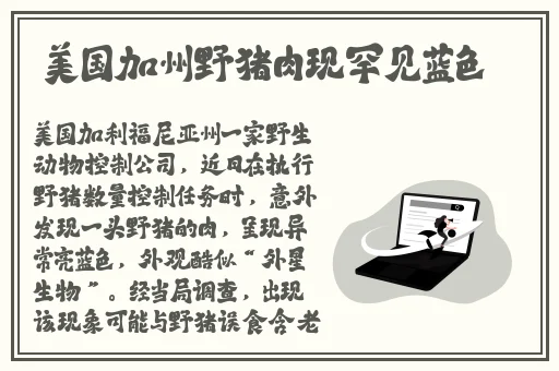任你懆视频这精品6